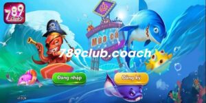 Game bắn cá H5 - Bắn cá đỉnh cao trên di động tại 789CLUB